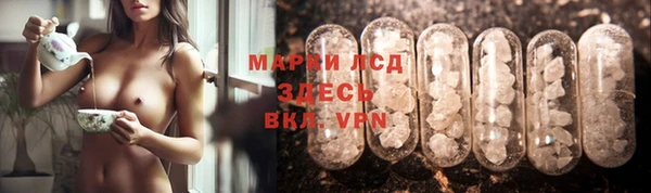 ПСИЛОЦИБИНОВЫЕ ГРИБЫ Аркадак