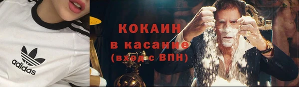 ПСИЛОЦИБИНОВЫЕ ГРИБЫ Аркадак
